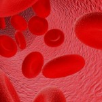 усваиваемость железа - гемоглобин в крови
